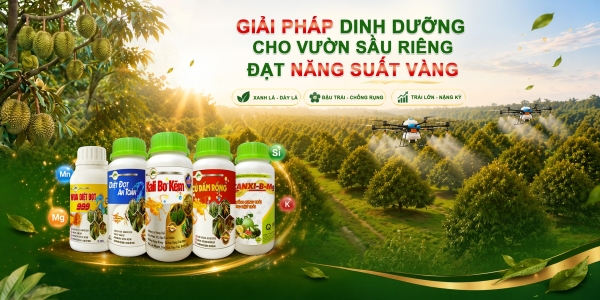 test 2