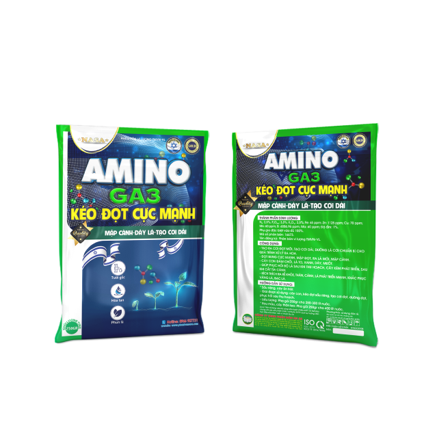 AMINO GA3