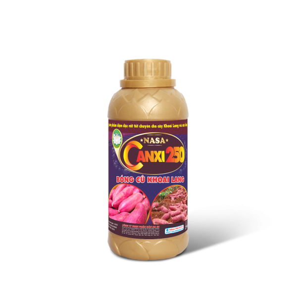 CANXI 250 BÓNG CỦ KHOAI LANG