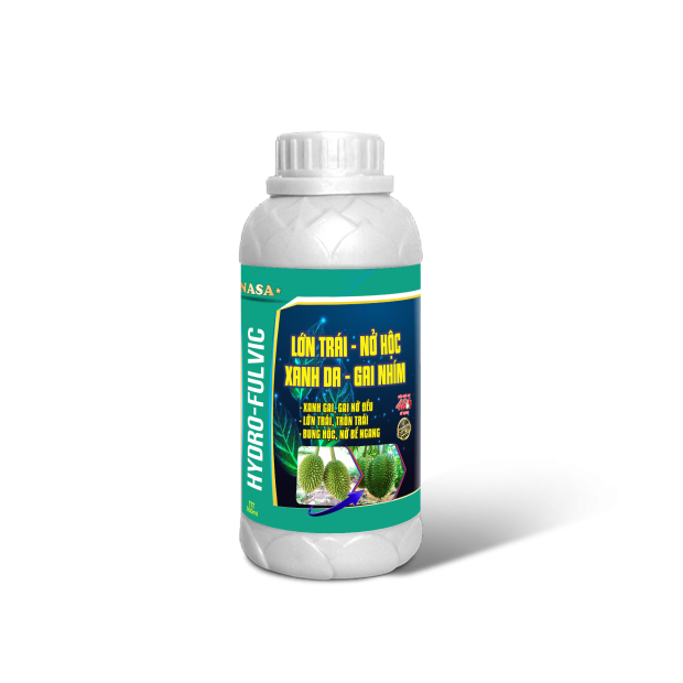 LỚN TRÁI NỞ HỘC XANH DA GAI NHÍM