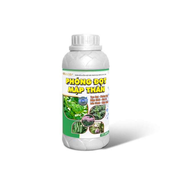 PHÓNG ĐỌT MẬP THÂN