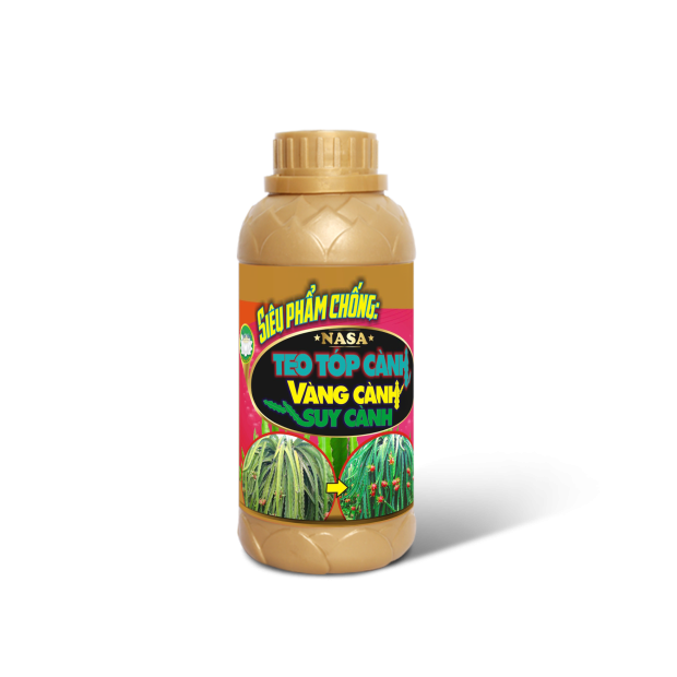 TEO TÓP CÀNH VÀNG CÀNH SUY CÀNH 