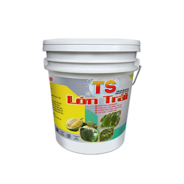 TS LỚN TRÁI (20kg)