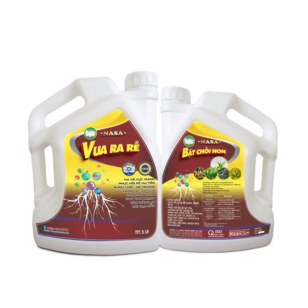 VUA RA RỄ BẬT CHỒI NON